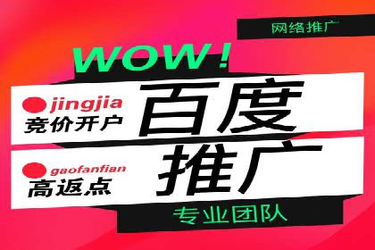百度推广平台：提升网站流量的实战案例